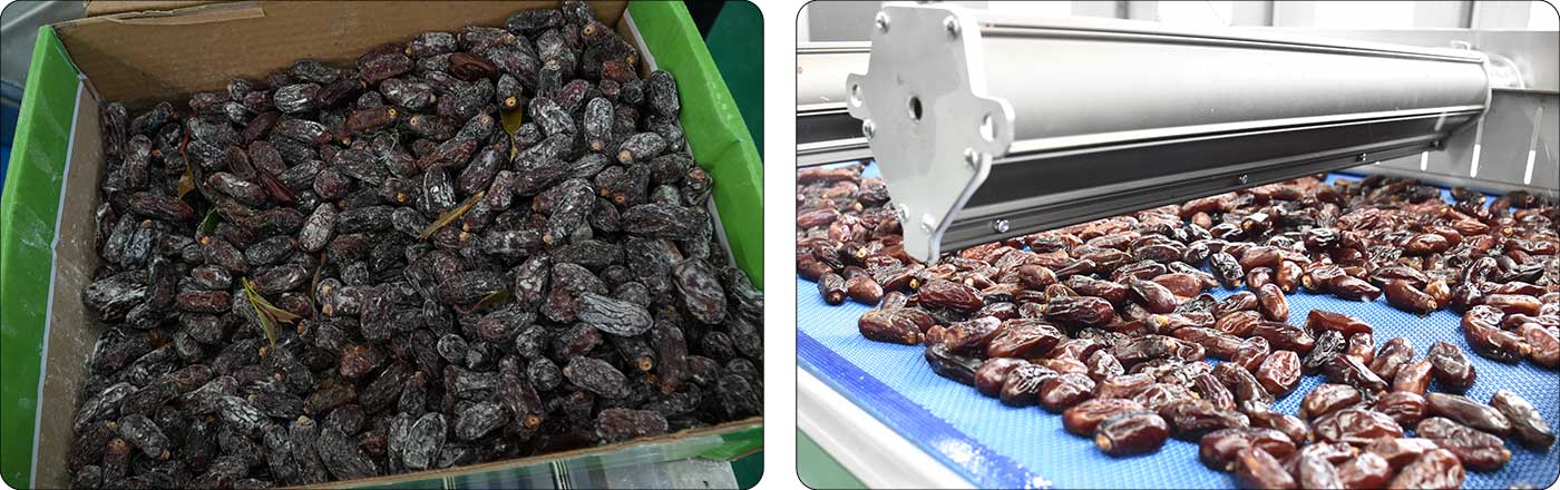 dates.jpg