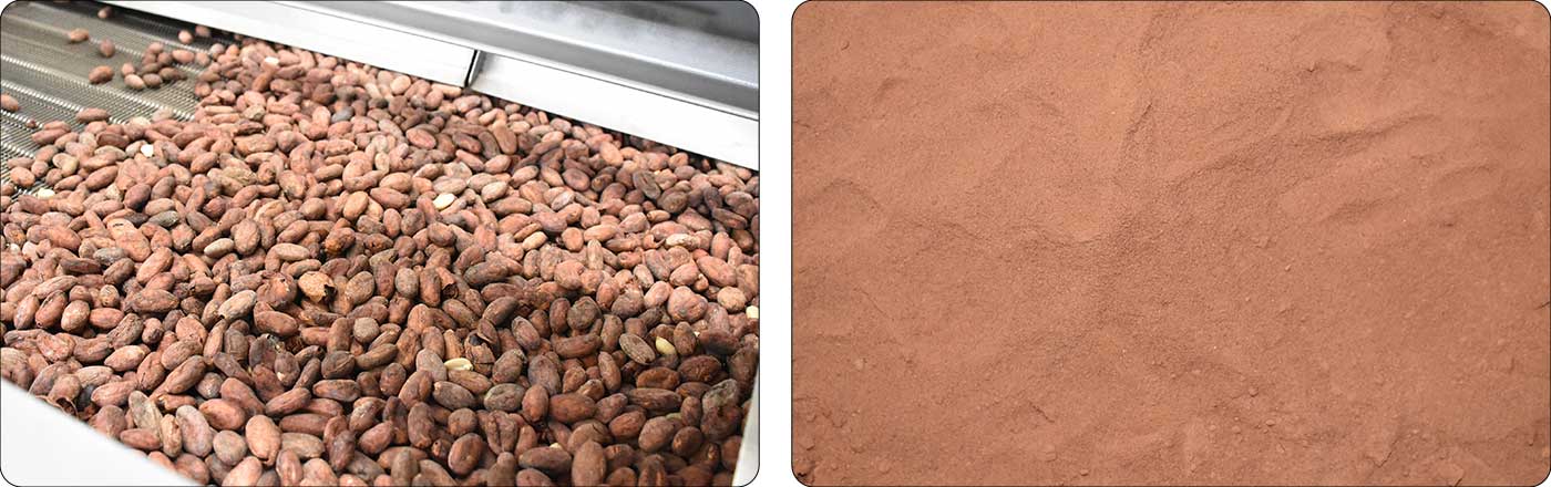 coco-powder.jpg
