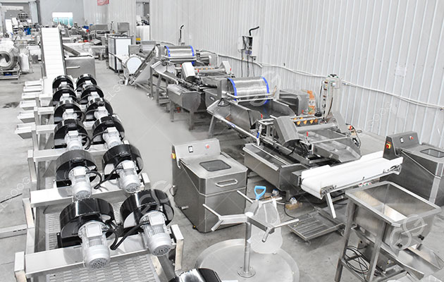 pre-cut-vegetable-processing-plant.jpg