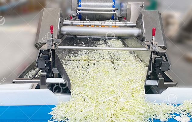 what-is-the-process-of-vegetable-manufacturing.jpg