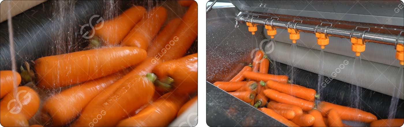 carrot-cleaning-machine-price.jpg