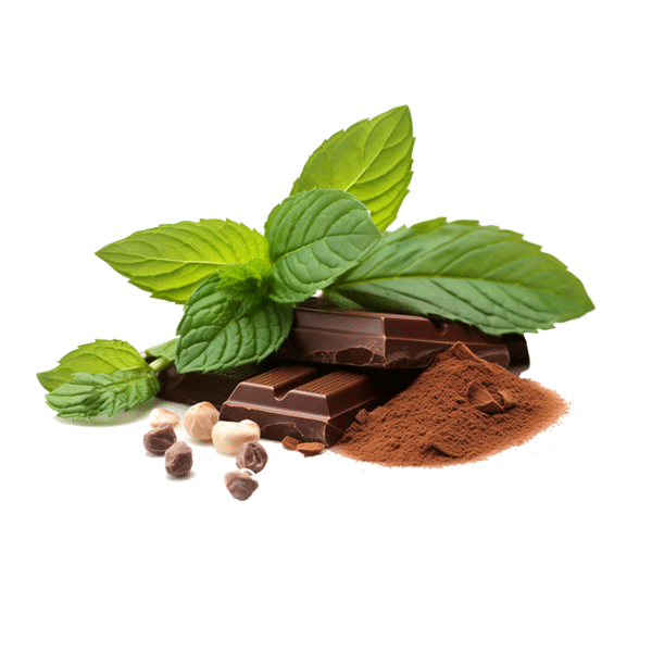 Complete Cocoa Powder Processing Line Solution 