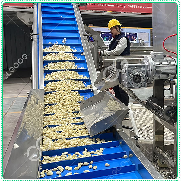 garlic-peeler-machine.jpg