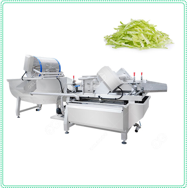 Customized Vegetable Salad Washing Machine Vortex Style