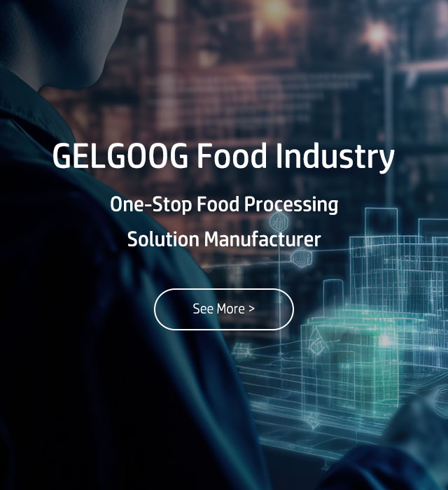 gelgoog