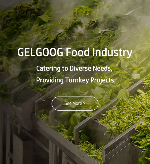 Fruit&Vegetable Processing line