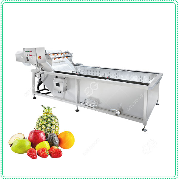 Sterilizing Fruit Washing Machine Equipment Manufacturer