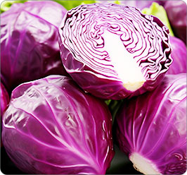 Red-cabbage