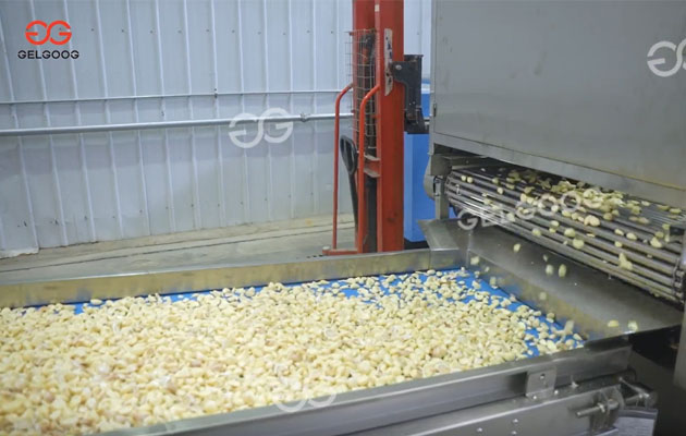Garlic Peeling Business Plan: A Small-Scale Venture With Big Potential