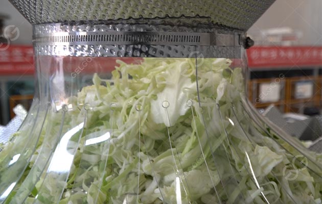 What Is Vegetable Processing
